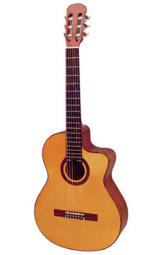 guitar